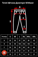 Ciepłe spodnie joggery Without 8048869 zdjęcie №8